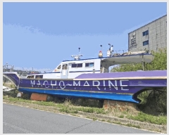  2025Ÿ356           ڰ