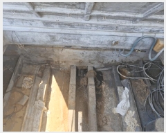  2025Ÿ356           ڰ