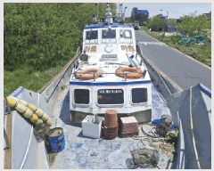  2025Ÿ356           ڰ