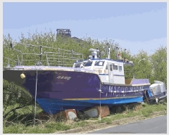  2025Ÿ356           ڰ