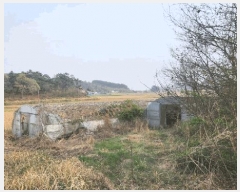  2025Ÿ��364  �����