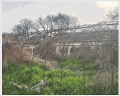  2025Ÿ��364  �����