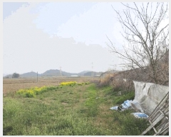  2025Ÿ��364  �����