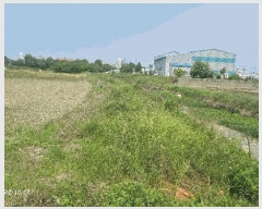  2025Ÿ��405  �����