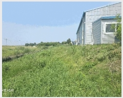  2025Ÿ��405  �����