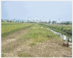  2025Ÿ��405  �����