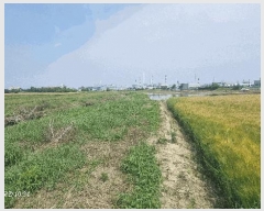  2025Ÿ��405  �����