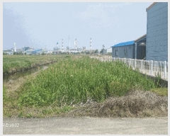  2025Ÿ��405  �����