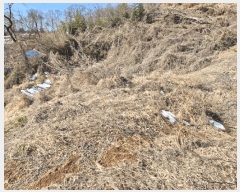  2025Ÿ��20551  �����