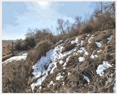  2025Ÿ��20551  �����