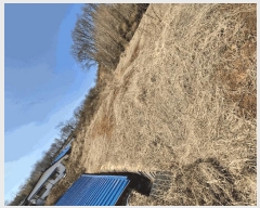  2025Ÿ��20551  �����