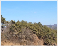  2025Ÿ��20566  �Ӿ߰��