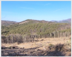  2025Ÿ��20566  �Ӿ߰��