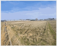  2025Ÿ��20661 ���� �ͻ�� ���� ��긮 512-1      ����(��)���