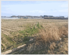  2025Ÿ��20661 ���� �ͻ�� ���� ��긮 512-1      ����(��)���