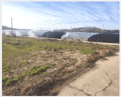  2025Ÿ��20661 ���� �ͻ�� ���� ��긮 512-1      ����(��)���