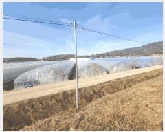  2025Ÿ��20661 ���� �ͻ�� ���� ��긮 512-1      ����(��)���