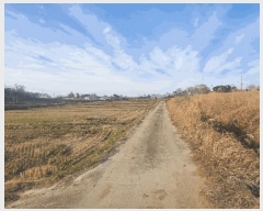  2025Ÿ��20661 ���� �ͻ�� ���� ��긮 512-1      ����(��)���