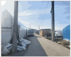  2025Ÿ��20661 ���� �ͻ�� ���� ��긮 512-1      ����(��)���