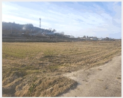  2025Ÿ��20661 ���� �ͻ�� ���� ��긮 512-1      ����(��)���