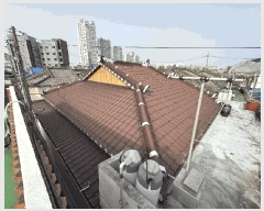  2025Ÿ��20681  ���ð��