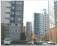  2025Ÿ��20749 ���� ����� �ҷ浿 663 �ҷ浿������ũ 209�� 2�� 202ȣ   ����Ʈ���