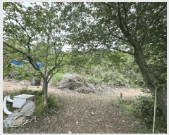  2025Ÿ��20847  �Ӿ߰��