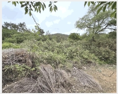  2025Ÿ��20847  �Ӿ߰��