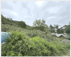  2025Ÿ��20847  �Ӿ߰��