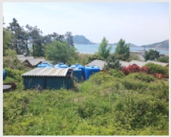  2025Ÿ��20847  �Ӿ߰��