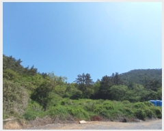  2025Ÿ��20847  �Ӿ߰��