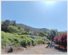  2025Ÿ��20847  �Ӿ߰��