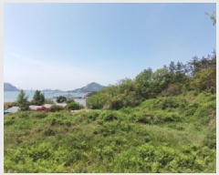  2025Ÿ��20847  �Ӿ߰��