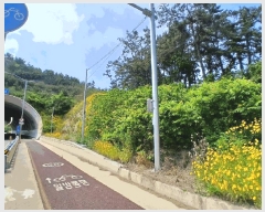  2025Ÿ��20954  �Ӿ߰��