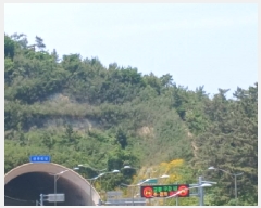  2025Ÿ��20954  �Ӿ߰��