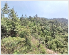  2025Ÿ��20954  �Ӿ߰��