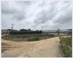  2025Ÿ��20983  �������