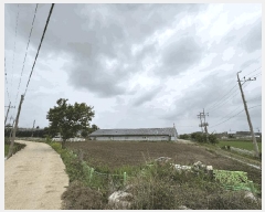  2025Ÿ��20983  �������