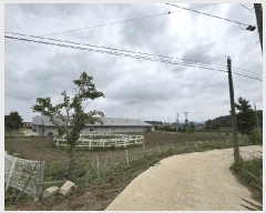  2025Ÿ��20983  �������