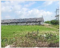  2025Ÿ��20983  �������