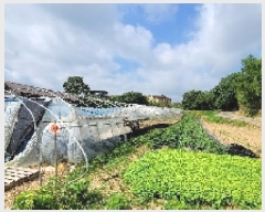  2025Ÿ��20983  �������