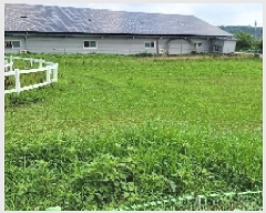  2025Ÿ��20983  �������