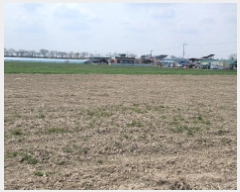  2025Ÿ��343 ���� �ͻ�� ������ �뿬�� 669-1      ����(��)���