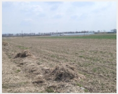  2025Ÿ��343 ���� �ͻ�� ������ �뿬�� 669-1      ����(��)���