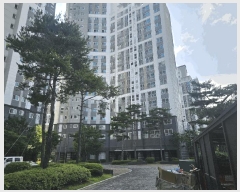  2025Ÿ��439  ����Ʈ���