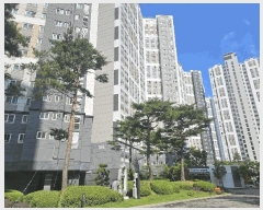  2025Ÿ��439  ����Ʈ���