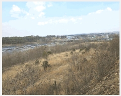  2025Ÿ��20579  �����