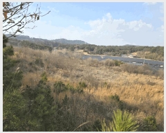  2025Ÿ��20579  �����