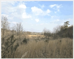  2025Ÿ��20579  �����