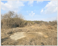  2025Ÿ��20579  �����